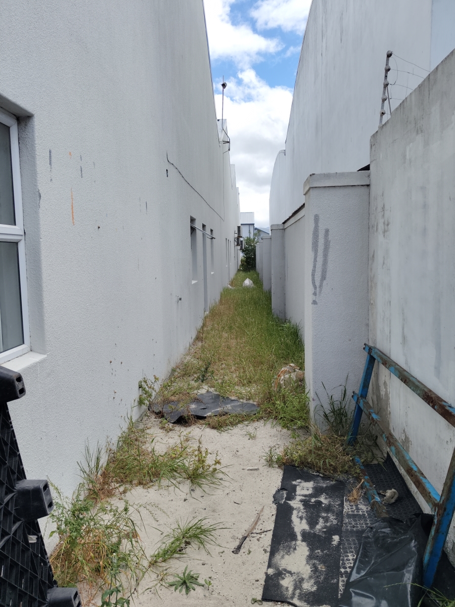 To Let commercial Property for Rent in Muizenberg Western Cape